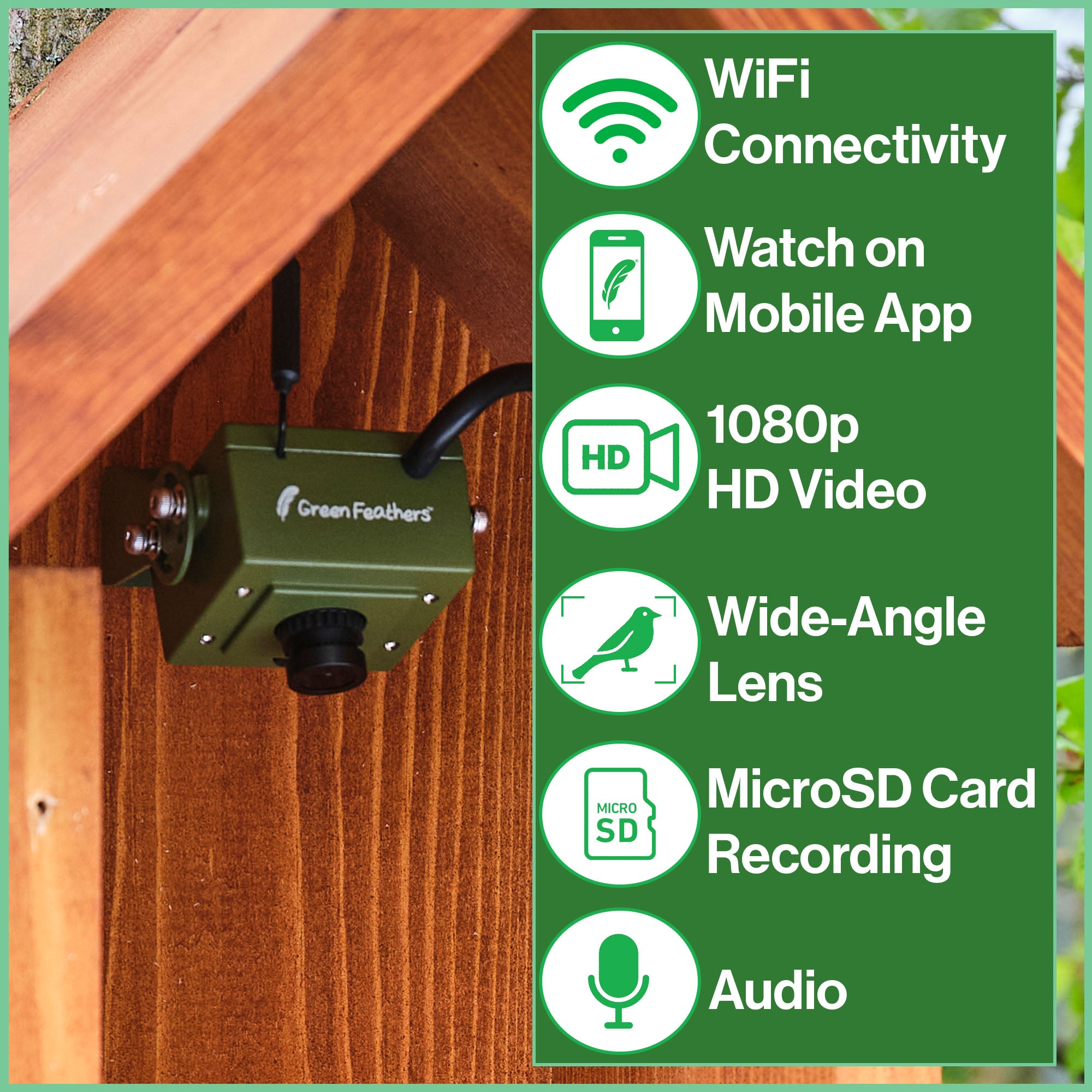 Tech Camera Box WiFi Owl Box Camera Pack – Green Feathers