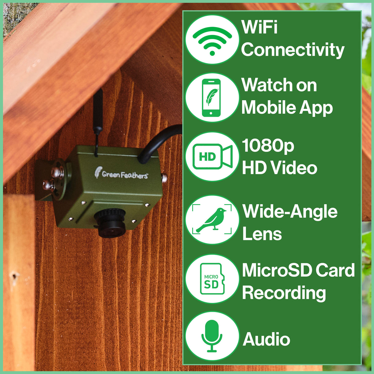 WiFi Bird Box Camera - WiFi Nest Box Camera | Green Feathers