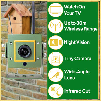 Bird Box Wildlife Camera with Wireless Transmission – Green Feathers