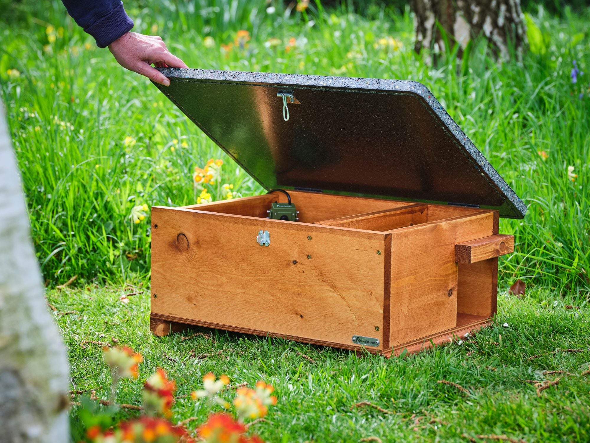 National Insect Week – Green Feathers