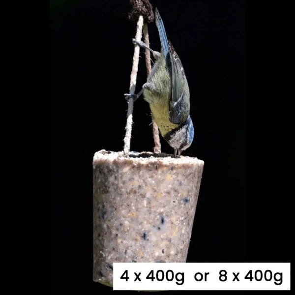 Eco Bird Food Suet Cone