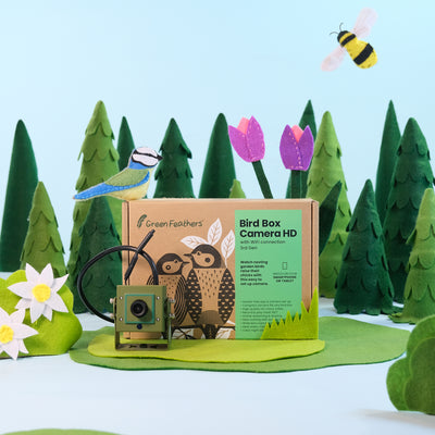 WiFi Bird Box & Wildlife Habitat HD Camera