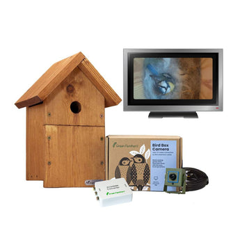 Wired Bird Box Camera Kit DIY Camera Box Green Feathers