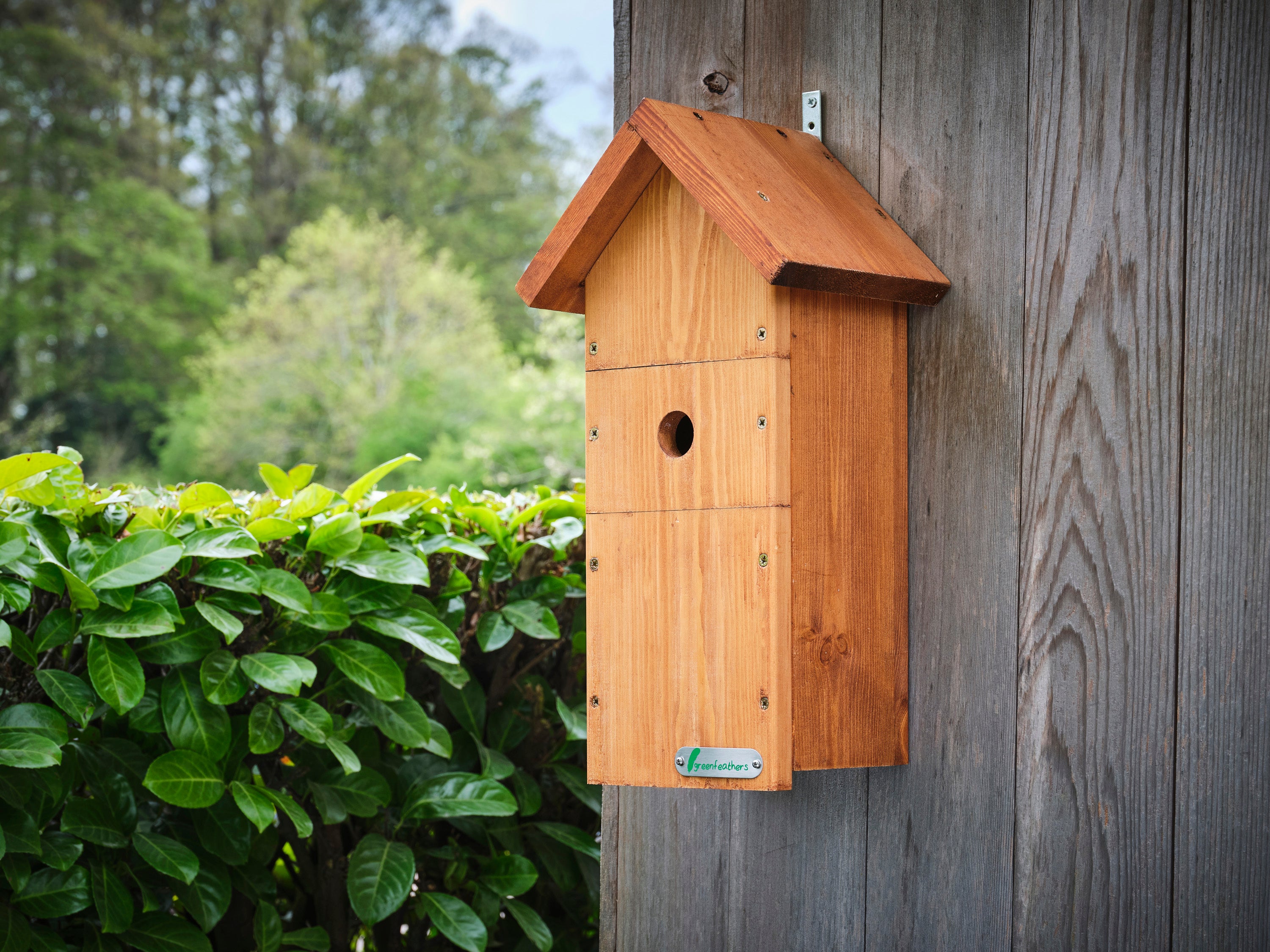 Triangular Bird Box Design Large Handmade Wooden Bird Box | Green Feathers