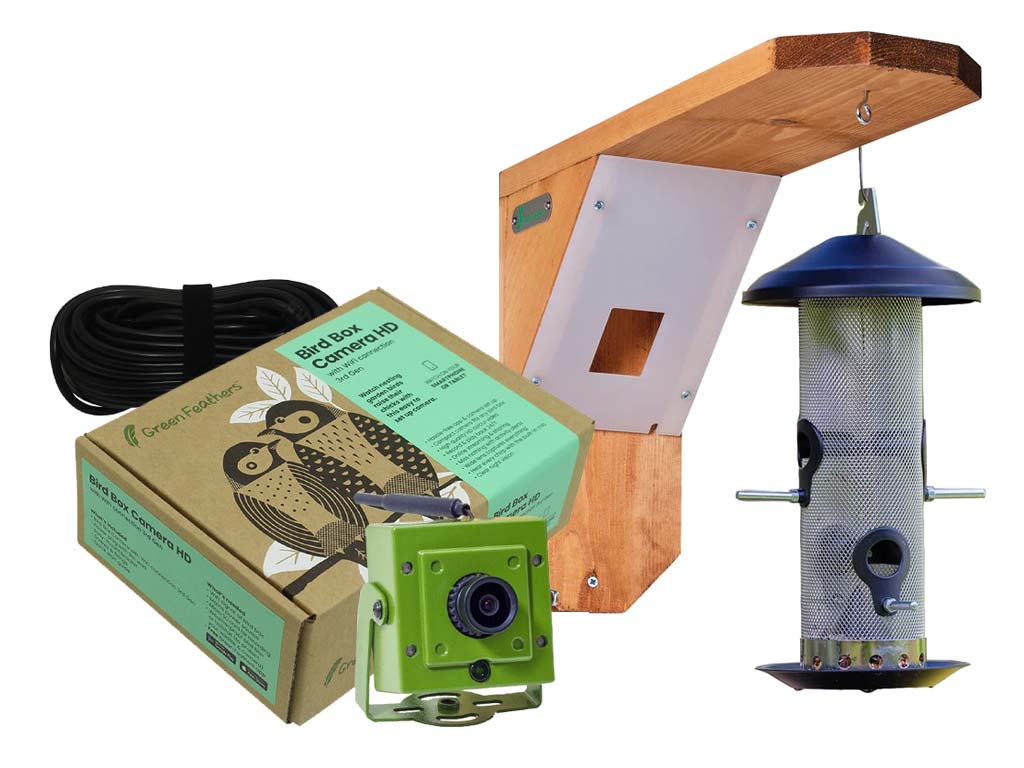 nest bird feeder camera