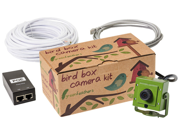 hd bird box camera