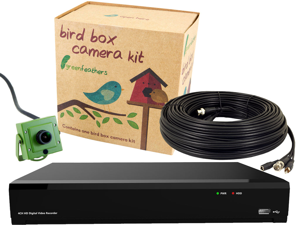 Bird Box Camera 4K Recorder Bundle Green Feathers