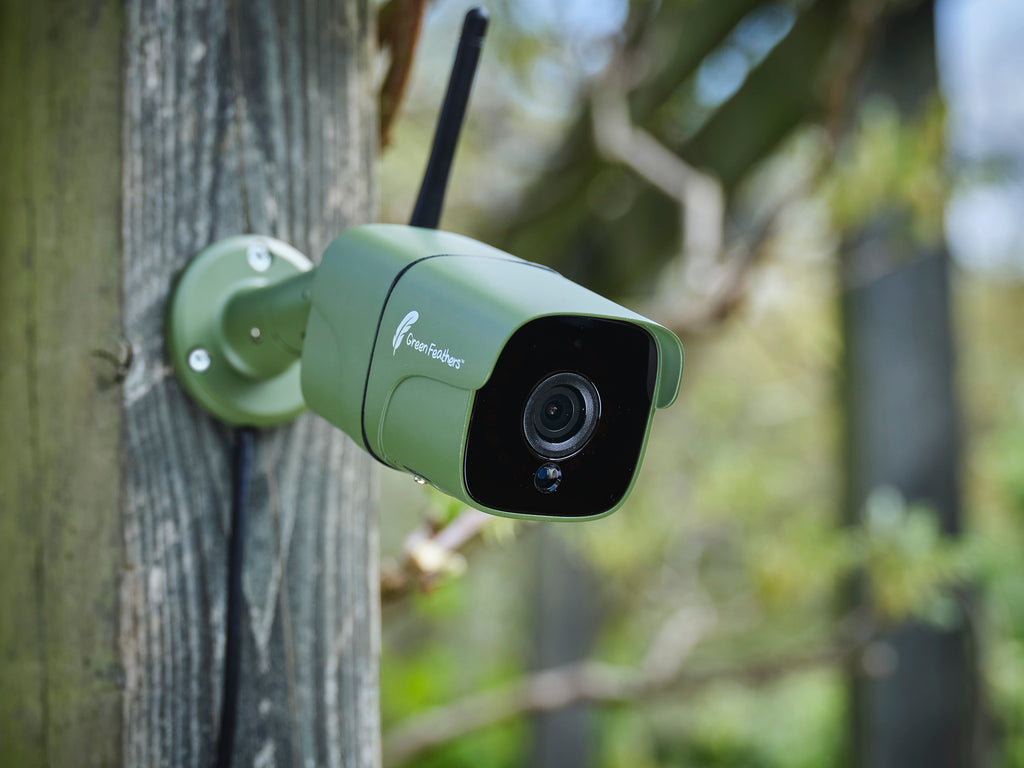 wildlife motion detector camera