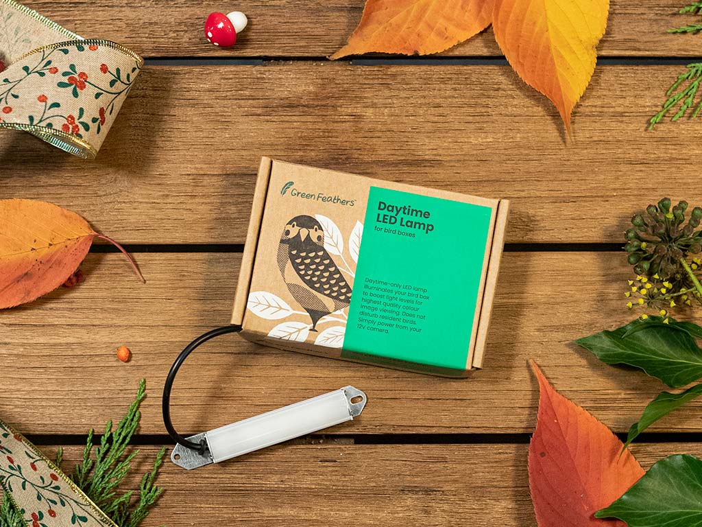 Bird Box Light Daylight LED Lamp for Hedgehog & Nest Boxes Green Feathers